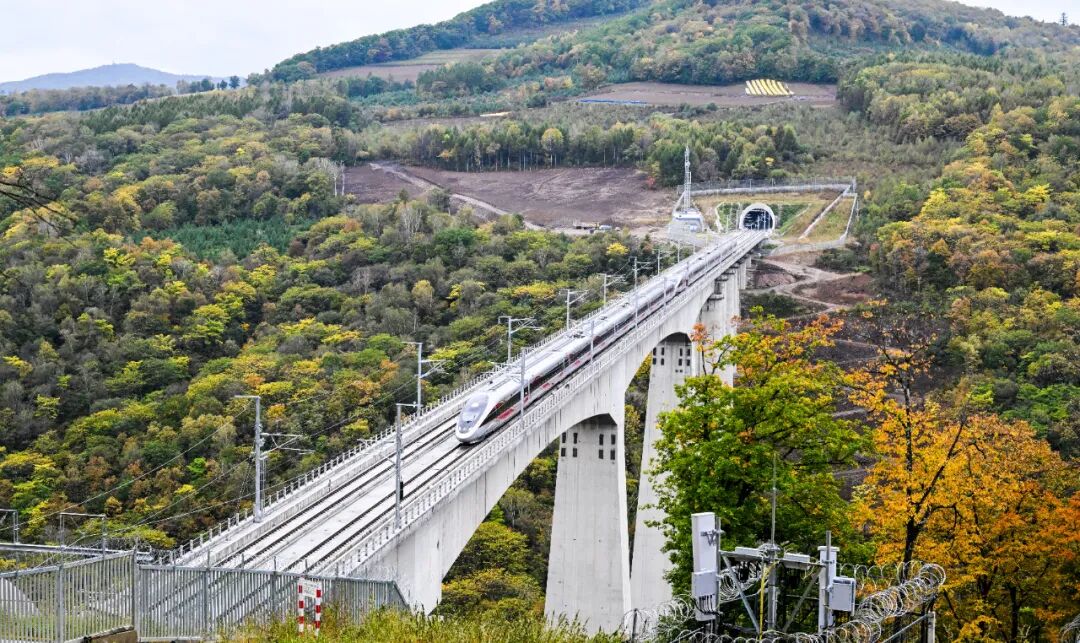 best365足球彩票官网助力沈白高铁开通